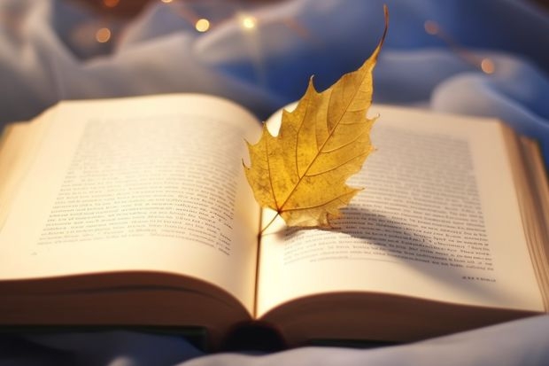 对外经济贸易大学是一所怎样的学校？值得报考吗？