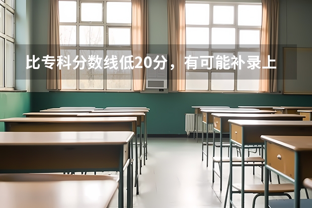 比专科分数线低20分，有可能补录上统招学校吗？河北廊坊的考生