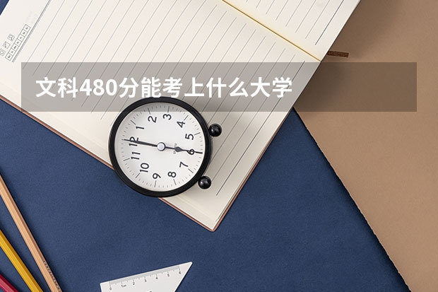 文科480分能考上什么大学
