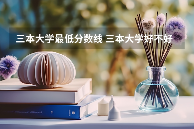 三本大学最低分数线 三本大学好不好（长安大学三本历年陕西录取分数线）