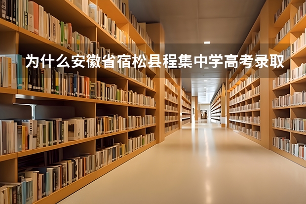为什么安徽省宿松县程集中学高考录取结果查询不到?
