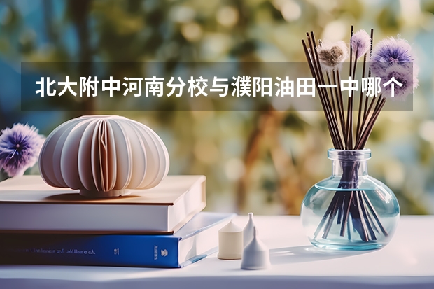 北大附中河南分校与濮阳油田一中哪个好（复读）？