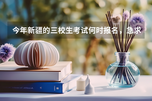 今年新疆的三校生考试何时报名，急求！ 新疆伊犁州社会青年高考报名时间是几号？大概程序是怎样？可以报考艺术类美术生么？