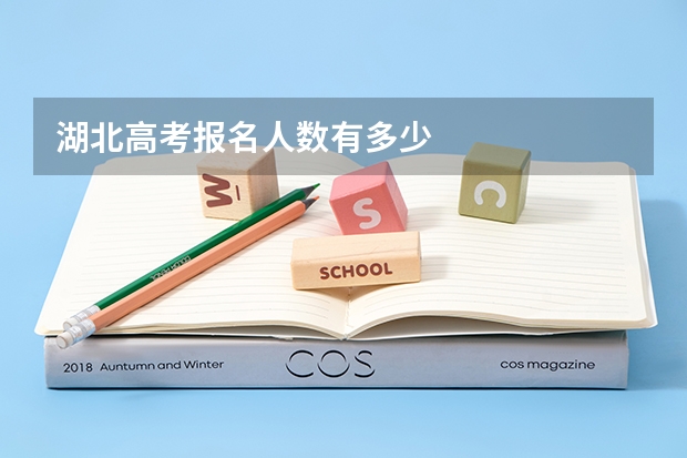湖北高考报名人数有多少