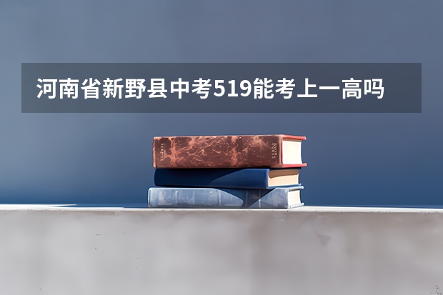 河南省新野县中考519能考上一高吗