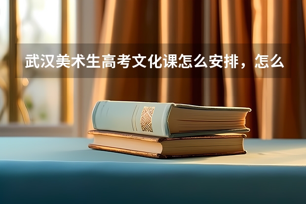 武汉美术生高考文化课怎么安排，怎么复习