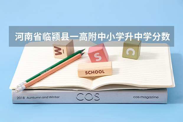 河南省临颍县一高附中小学升中学分数线是多少？