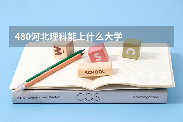 480河北理科能上什么大学