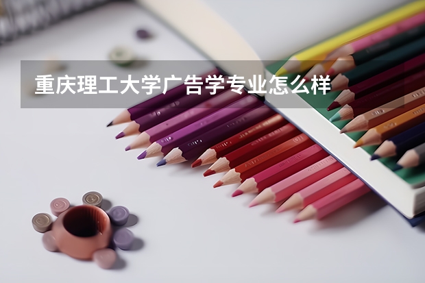 重庆理工大学广告学专业怎么样