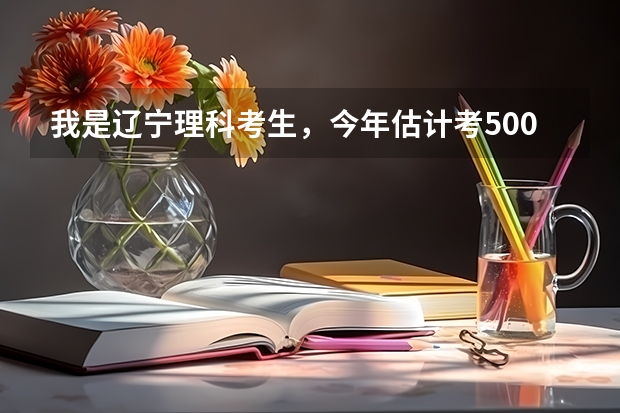 我是辽宁理科考生，今年估计考500分左右，想学财经，会计专业，可以报哪些好院校？仅限辽宁省。