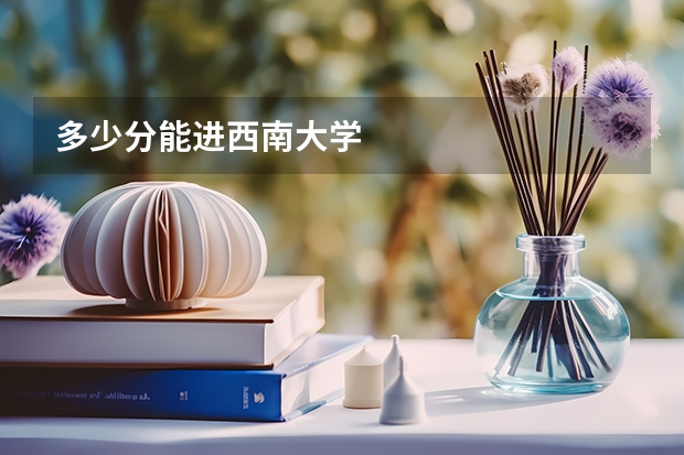 多少分能进西南大学