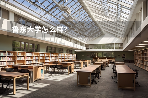 鲁东大学怎么样？