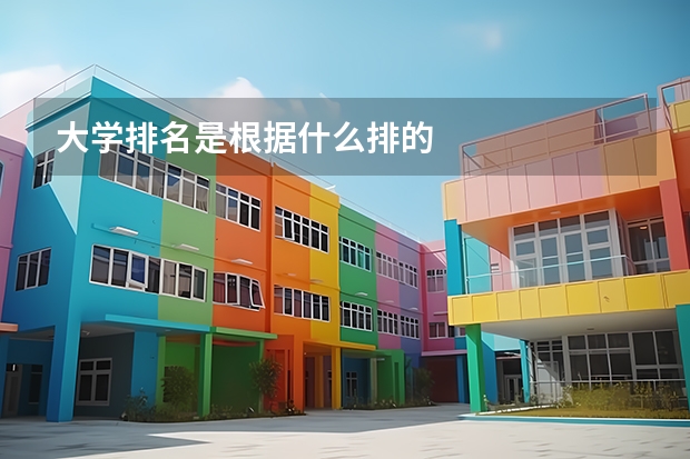 大学排名是根据什么排的