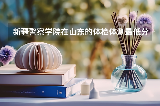 新疆警察学院在山东的体检体测最低分数线 内蒙古警校录取分数