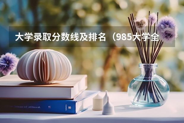大学录取分数线及排名（985大学全部排名及分数线）