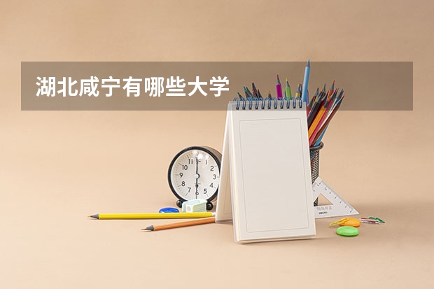 湖北咸宁有哪些大学