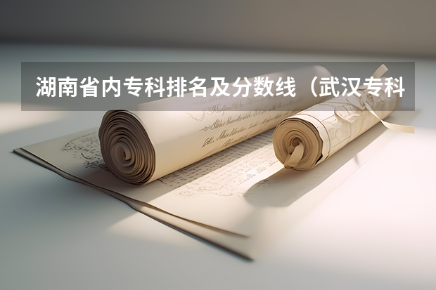 湖南省内专科排名及分数线（武汉专科学校分数线2023）