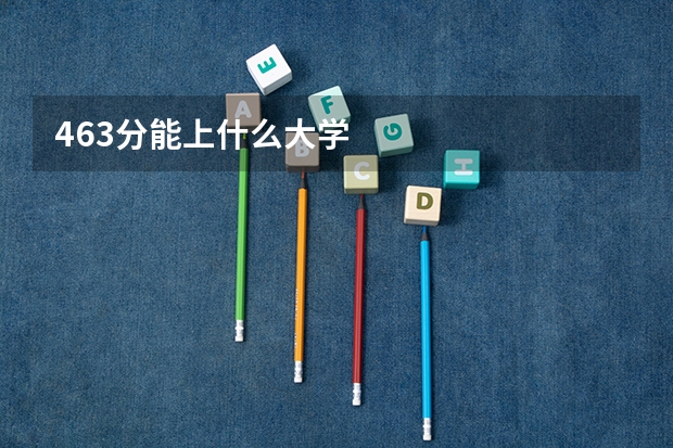 463分能上什么大学