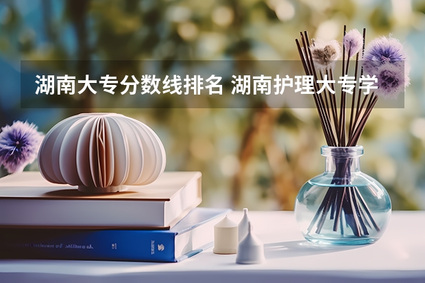 湖南大专分数线排名 湖南护理大专学校排名及分数线
