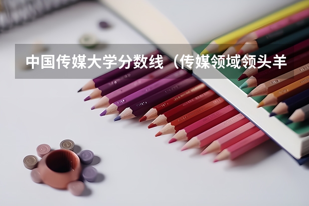 中国传媒大学分数线（传媒领域领头羊：中国传媒大学高考录取分数线及位次公布）