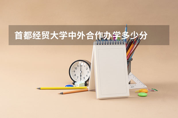 首都经贸大学中外合作办学多少分