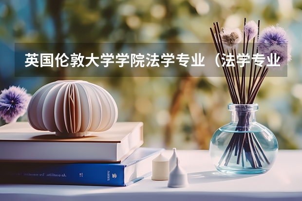 英国伦敦大学学院法学专业(法学专业世界大学排名)