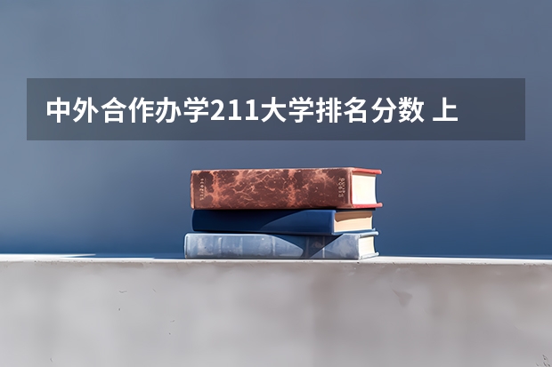 中外合作办学211大学排名分数 上海纽约大学江苏录取分数线