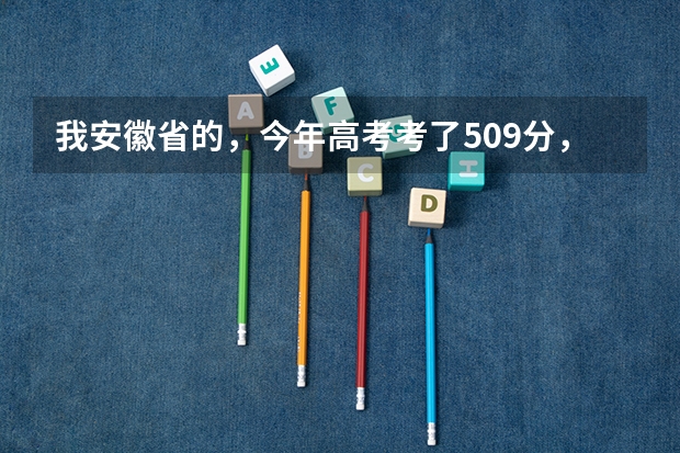 我安徽省的,今年高考考了509分,我是文科生,比二本线高8分,请问我能在安徽省内上哪些比较好的学校?