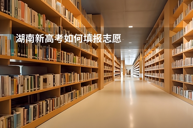 湖南新高考如何填报志愿