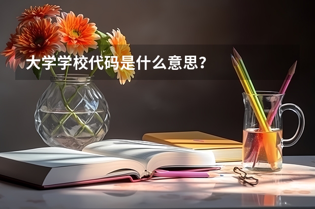 大学学校代码是什么意思？