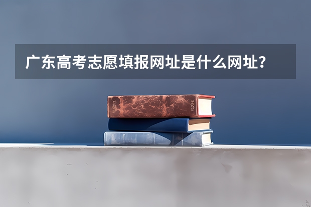 广东高考志愿填报网址是什么网址？