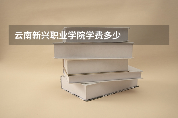 云南新兴职业学院学费多少