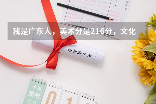 我是广东人，美术分是216分，文化课成绩441分，请问我填报的第一志愿选择哪些