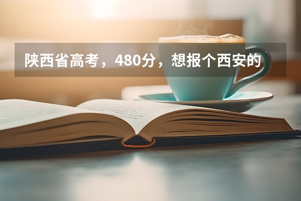 陕西省高考，480分，想报个西安的三本，报哪个学校和专业比较好啊？