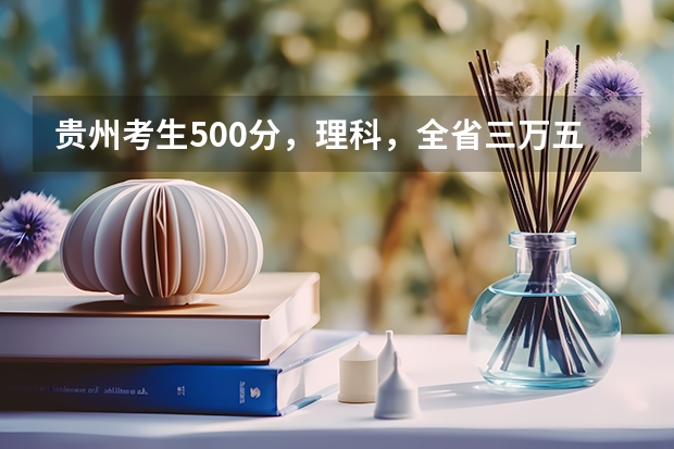 贵州考生500分,理科,全省三万五千名左右,有没有可以试着填报的符合国家专项计划的大学(广州白云工商技师学院)