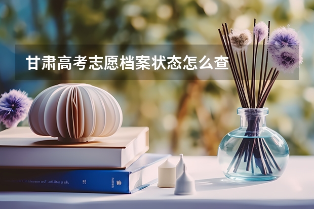 甘肃高考志愿档案状态怎么查