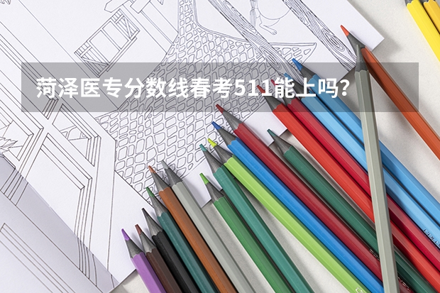 菏泽医专分数线春考511能上吗？
