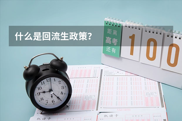什么是回流生政策？