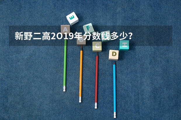 新野二高2O19年分数线多少？