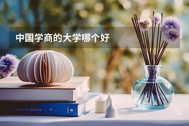中国学商的大学哪个好