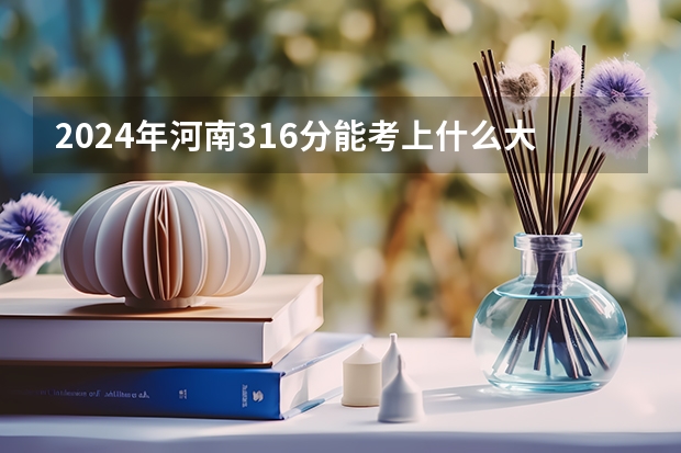 2024年河南316分能考上什么大学？