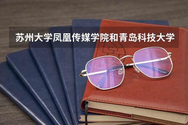 苏州大学凤凰传媒学院和青岛科技大学自动化与电子工程学院哪个好