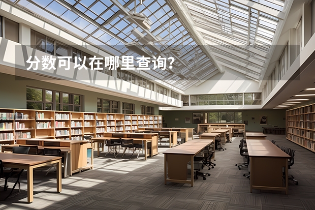 分数可以在哪里查询？