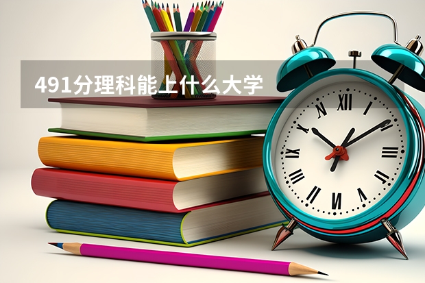 491分理科能上什么大学
