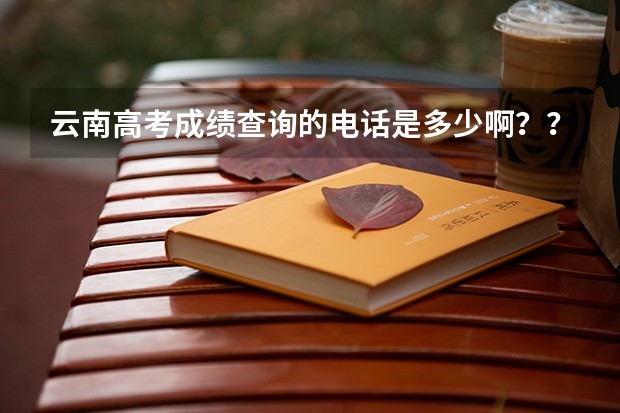 云南高考成绩查询的电话是多少啊？？