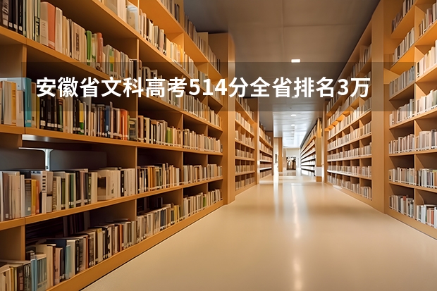 安徽省文科高考514分全省排名3万8千8百名填什么学校可以走？