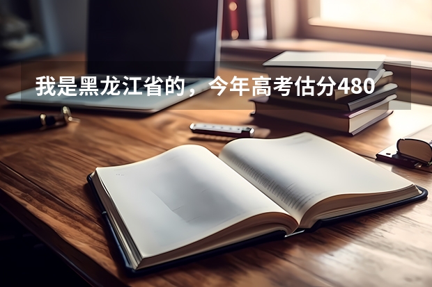 我是黑龙江省的,今年高考估分480 ,去哈商大有戏么?我想学语言或经济类的,什么专业我能考上?谢谢