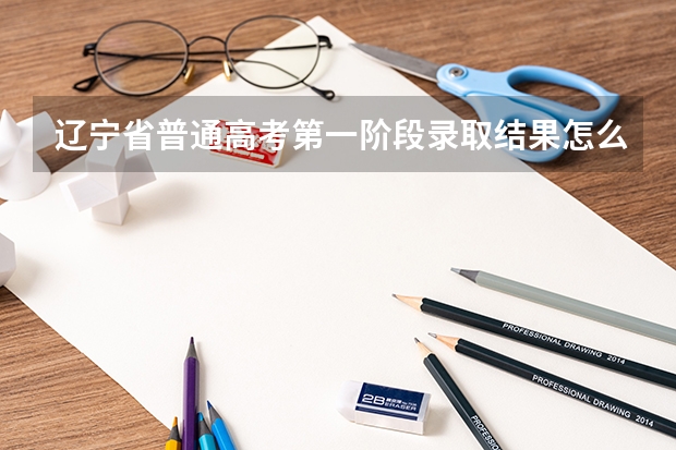 辽宁省普通高考第一阶段录取结果怎么查询