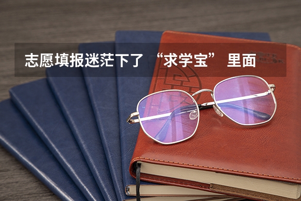 志愿填报迷茫下了 “求学宝” 里面的招办老师真的可信吗