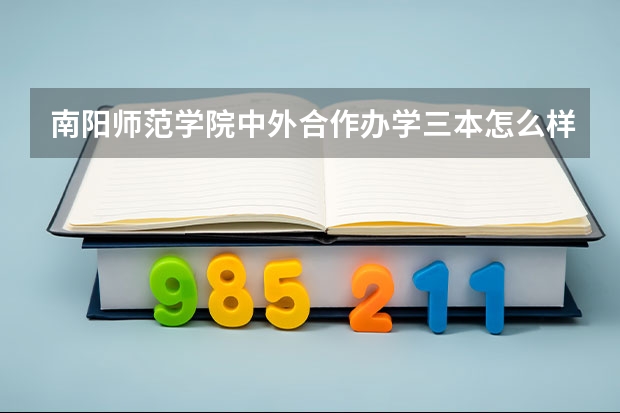 南阳师范学院中外合作办学三本怎么样？
